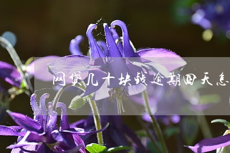 网贷几十块钱逾期四天怎么办 网贷几十块钱逾期四天怎么办