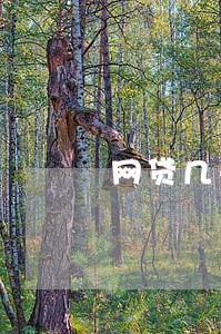 网贷几千元逾期 网贷几千元逾期