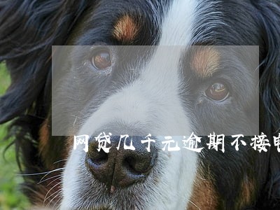 网贷几千元逾期不接电话 网贷几千元逾期不接电话