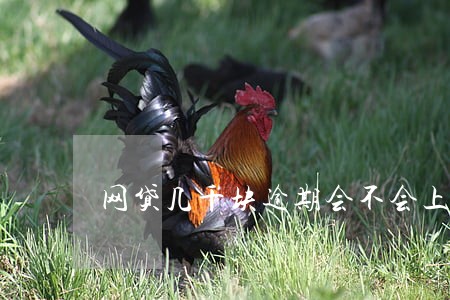 网贷几千块逾期会不会上门 网贷几千块逾期会不会上门