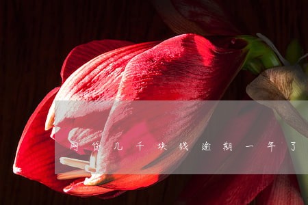网贷几千块钱逾期一年了 网贷几千块钱逾期一年了