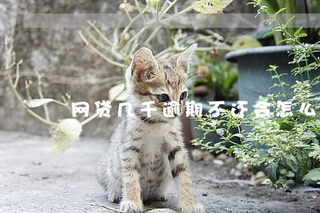 网贷几千逾期不还会怎么样 网贷几千逾期不还会怎么样
