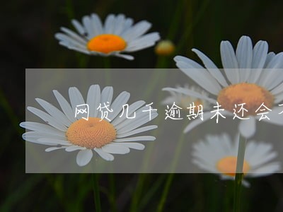 网贷几千逾期未还会不会坐牢 网贷几千逾期未还会不会坐牢