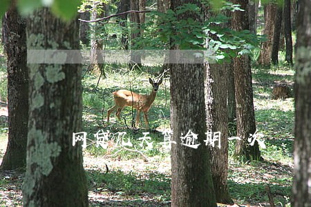 网贷几天算逾期一次 网贷几天算逾期一次