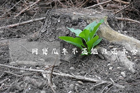 网贷几年不还能只还本金吗 网贷几年不还能只还本金吗