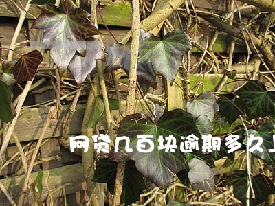 网贷几百块逾期多久上报征信 网贷几百块逾期多久上报征信