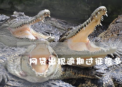 网贷出现逾期过征信多久能恢复 网贷出现逾期过征信多久能恢复