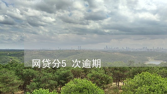 网贷分5次逾期 网贷分5次逾期