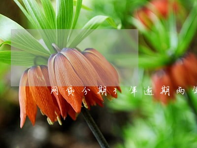 网贷分期3年逾期两年 网贷分期3年逾期两年