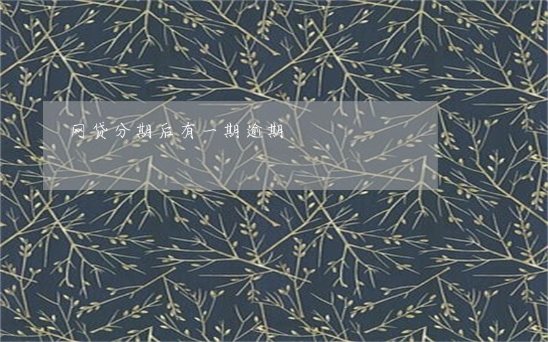 网贷分期后有一期逾期 网贷分期后有一期逾期