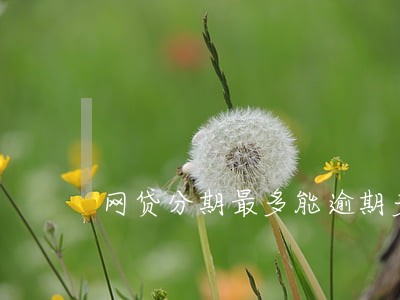 网贷分期最多能逾期多久 网贷分期最多能逾期多久