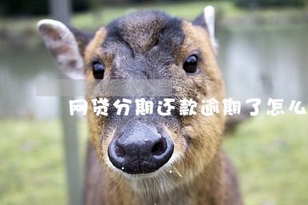 网贷分期还款逾期了怎么办 网贷分期还款逾期了怎么办