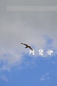 网贷分期逾期一天要求还全款 网贷分期逾期一天要求还全款