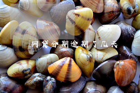 网贷分期逾期了几天 网贷分期逾期了几天