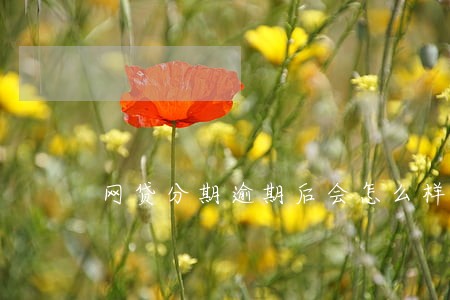 网贷分期逾期后会怎么样 网贷分期逾期后会怎么样