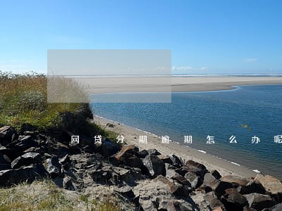 网贷分期逾期怎么办呢 网贷分期逾期怎么办呢