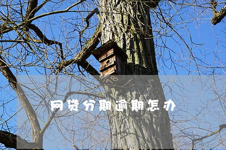 网贷分期逾期怎办