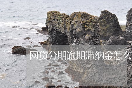 网贷分期逾期滞纳金怎么算 网贷分期逾期滞纳金怎么算