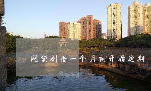 网贷刚借一个月就开始逾期 网贷刚借一个月就开始逾期