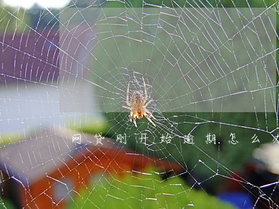 网贷刚开始逾期怎么办 网贷刚开始逾期怎么办