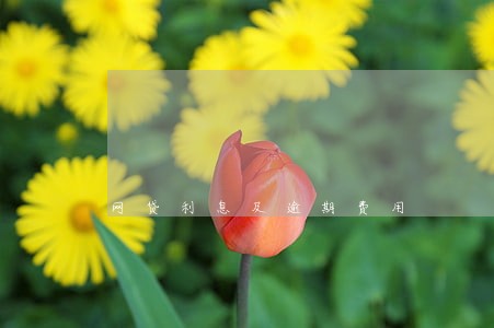 网贷利息及逾期费用 网贷利息及逾期费用