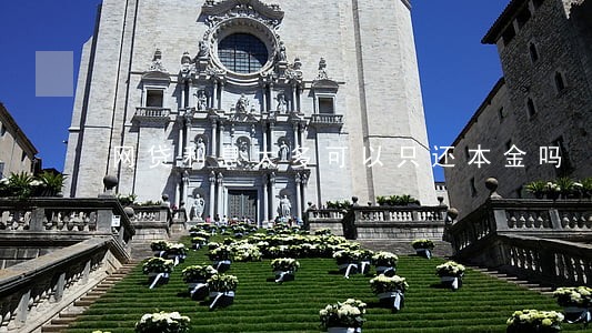 网贷利息太多可以只还本金吗 网贷利息太多可以只还本金吗