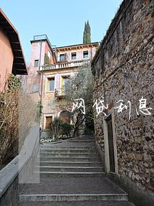 网贷利息太高只还本金6 网贷利息太高只还本金6