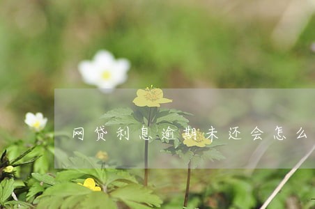 网贷利息逾期未还会怎么样