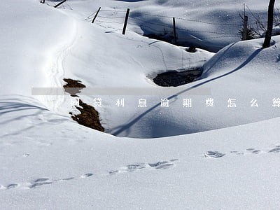网贷利息逾期费怎么算 网贷利息逾期费怎么算