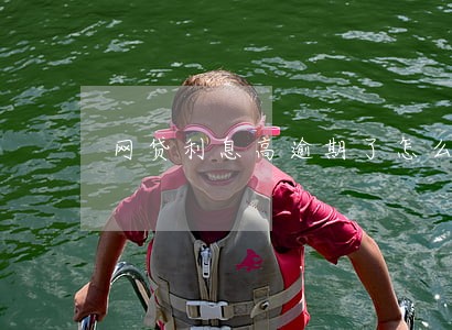 网贷利息高逾期了怎么处理