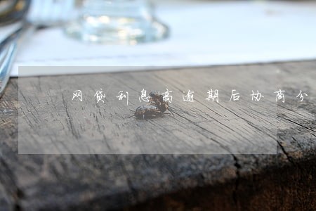 网贷利息高逾期后协商分期 网贷利息高逾期后协商分期