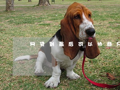 网贷到最后可以协商只还本金吗 网贷到最后可以协商只还本金吗