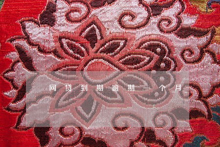 网贷到期逾期一个月 网贷到期逾期一个月