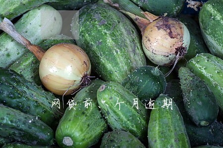 网贷前六个月逾期 网贷前六个月逾期