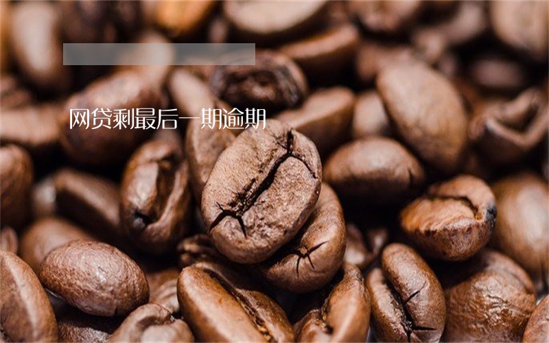 网贷剩最后一期逾期 网贷剩最后一期逾期