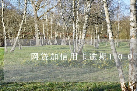 网贷加信用卡逾期100万 网贷加信用卡逾期100万