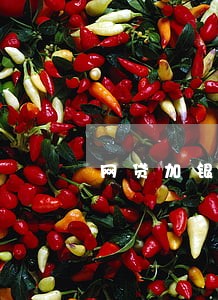 网贷加银行35万全面逾期 网贷加银行35万全面逾期