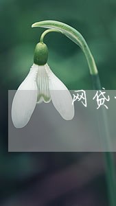 网贷十万逾期怎么办 网贷十万逾期怎么办