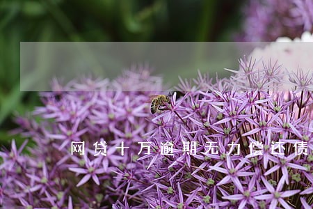网贷十万逾期无力偿还债务 网贷十万逾期无力偿还债务