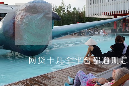 网贷十几个平台都逾期怎么办