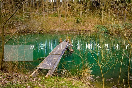 网贷十几个逾期不想还了 网贷十几个逾期不想还了