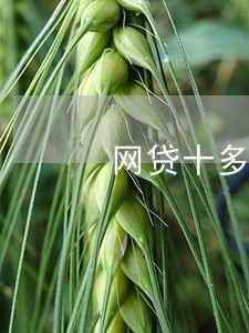 网贷十多万全部逾期 网贷十多万全部逾期