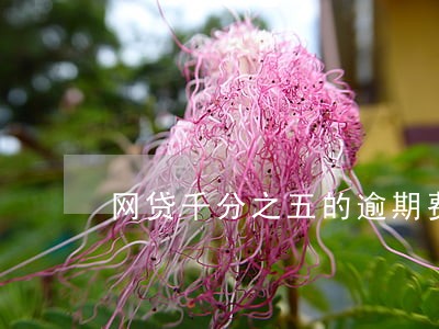 网贷千分之五的逾期费合法吗 网贷千分之五的逾期费合法吗