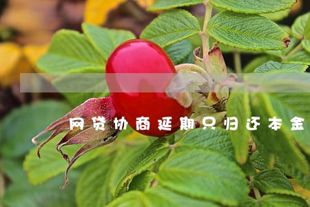 网贷协商延期只归还本金 网贷协商延期只归还本金