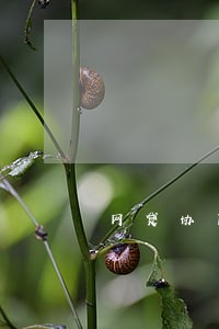 网贷协商延期只归还本金注意事项 网贷协商延期只归还本金注意事项