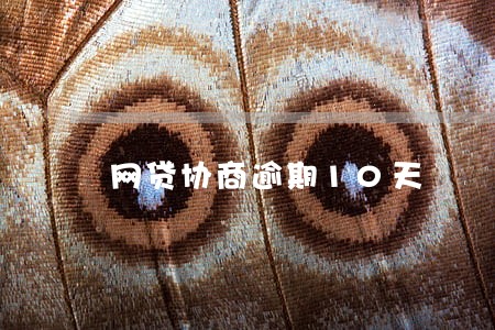网贷协商逾期10天 网贷协商逾期10天