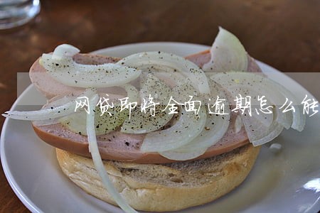 网贷即将全面逾期怎么能保房产