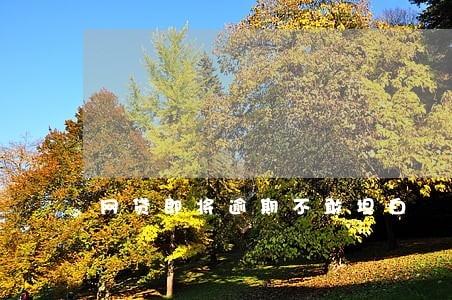 网贷即将逾期不敢坦白 网贷即将逾期不敢坦白