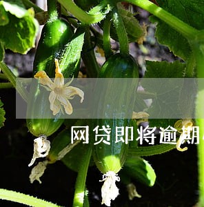 网贷即将逾期心理压力山大 网贷即将逾期心理压力山大