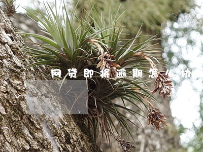 网贷即将逾期怎么协商还款 网贷即将逾期怎么协商还款